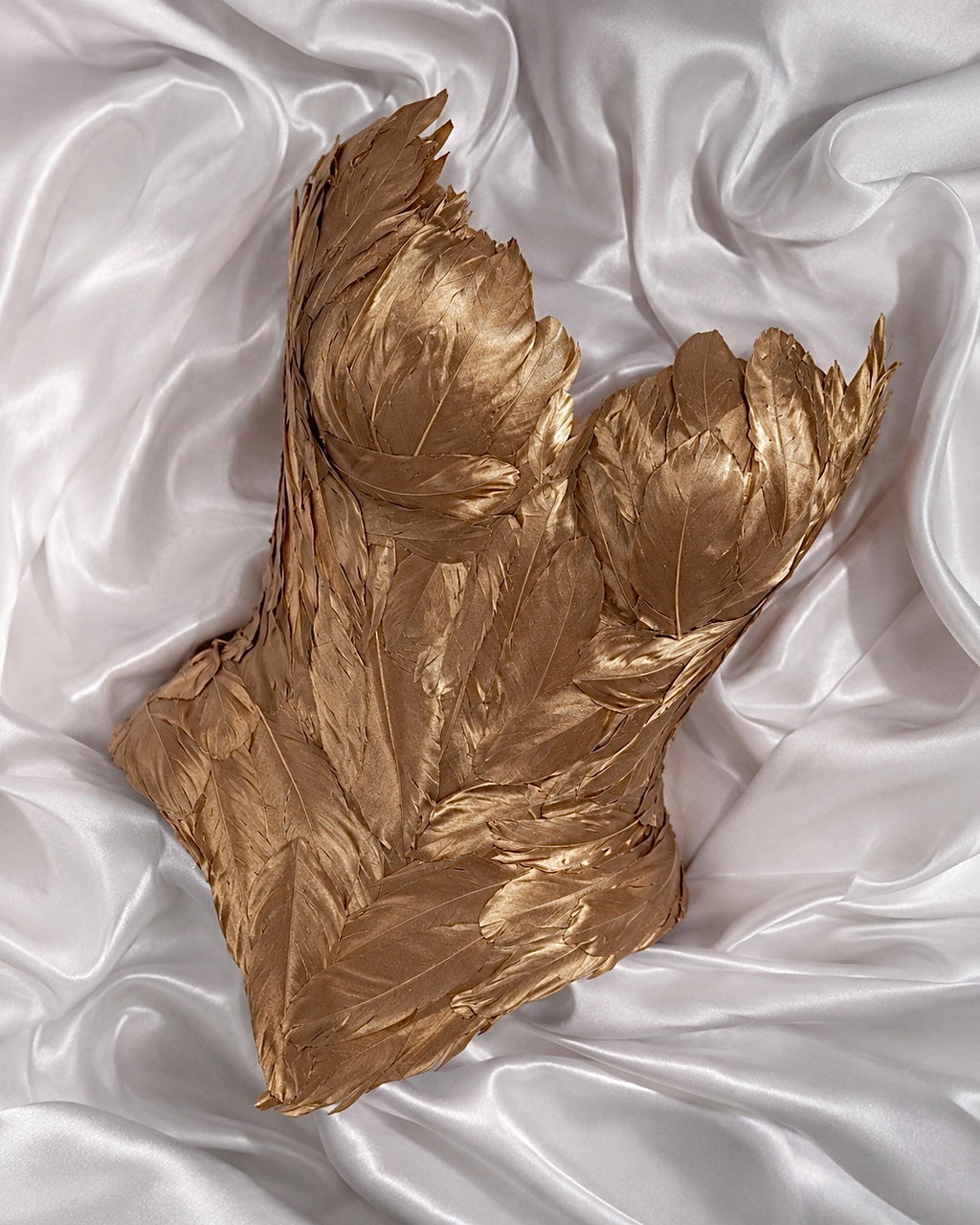Golden Feather Corset