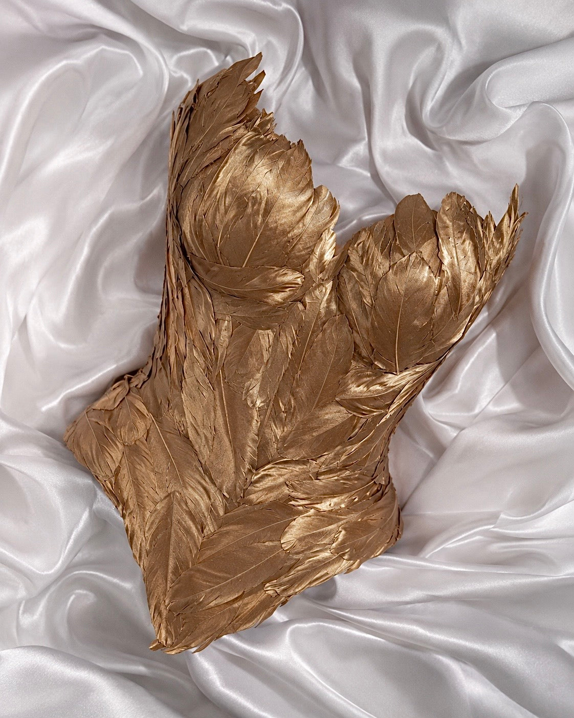 Golden Feather Corset