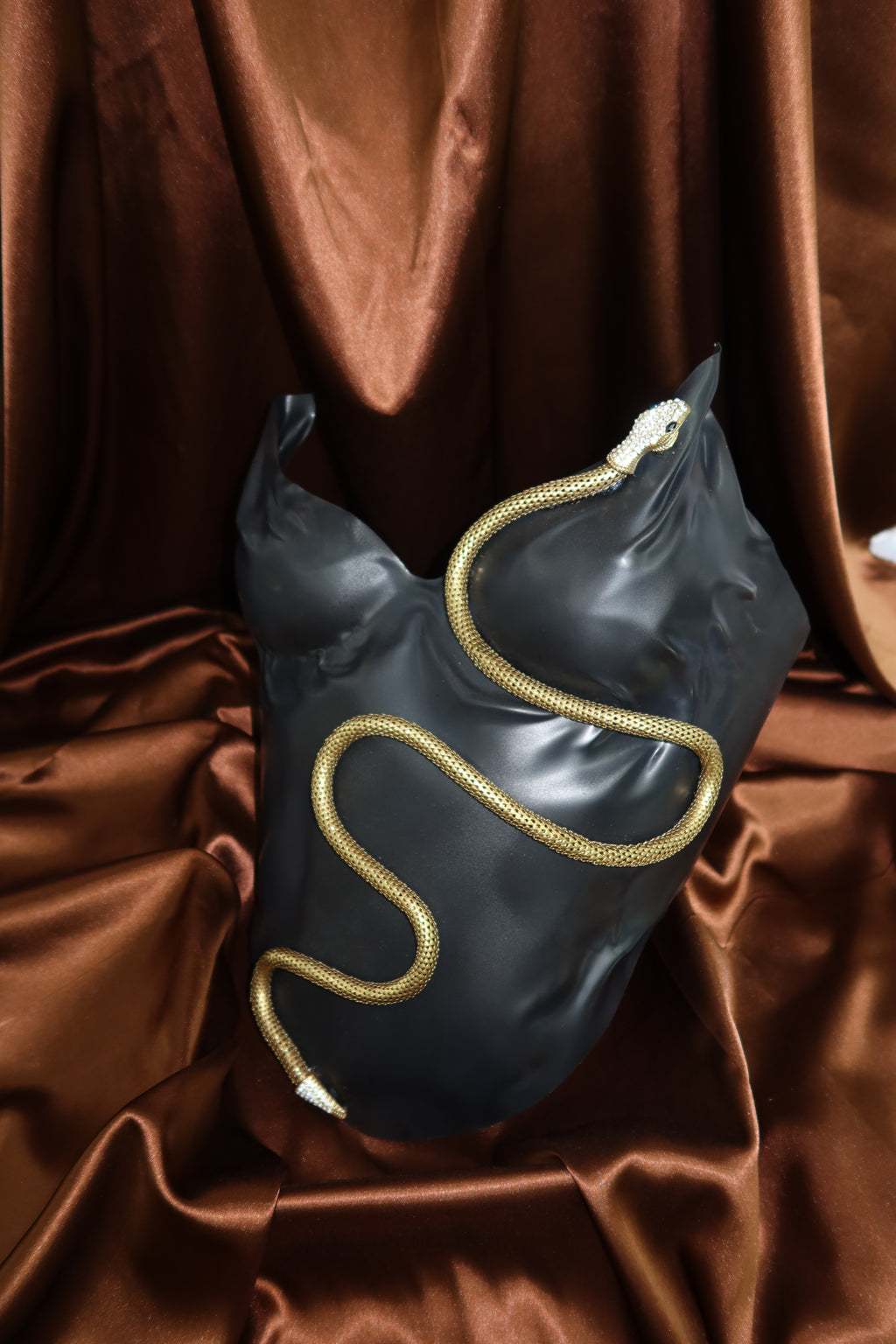 Serpent Noir Corset